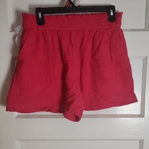Time and Tru High Waist Pink Shorts